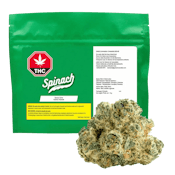 Space Cake 14g Dried Flower