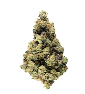 Broken Coast - Broken Coast | Ruxton | 28 g