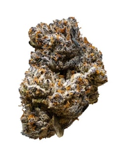 3rd Coast Genetics - 14g