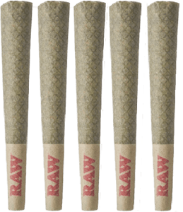 Tribal - Tribal - Cuban Linx Pre-Rolls 5x0.6g | 3g