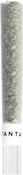 Tantalus - OG Platinum Mints Glass Tip Pre-Roll 1 x 1g