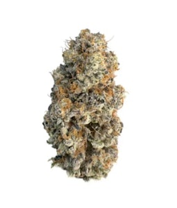 Royal Harvest Craft Cannabis - RED VELVET R - 7G