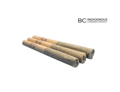 All Nations - All Nations | Blueberry Fritter Infused Pre-Roll | 3 x 0.5 g