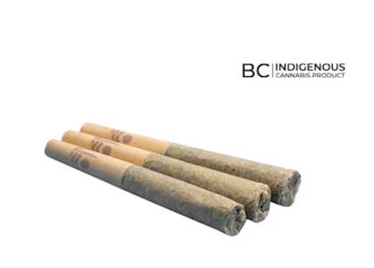 All Nations - Blueberry Fritter Infused - 0.5g x 3