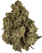 Orchid - CBD Rntz | 3.5g