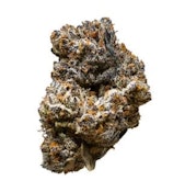 Jack Truffle