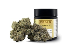 DEALR - El Changuito (7g)