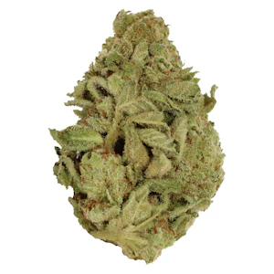 Pure Laine Cannabis - Pure Laine Cannabis - Big Pleasures (Sativa)