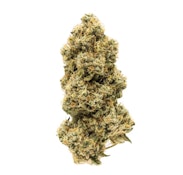 CARMEL - ANIMAL FACE - 7 GRAM