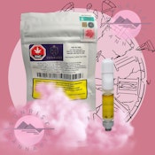 TERP IN TIME LIVE ROSIN - CLOUD CITY - 1G