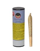 TIMEWARP PRE-ROLL - 1G