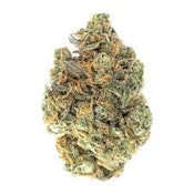 Midnight Kruntz 7g Dried Flower