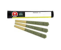 Greenseal - Praline Gelato 3 x 0.5g Pre-Rolls