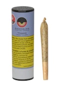 TIMEWARP PRE-ROLL - 1G SINGLE