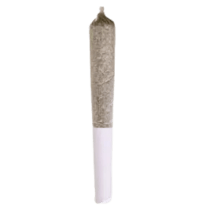Station House - Blue Dream Pre-Roll - 1x0.5g