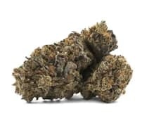BONG GURU ROCKSTAR PRE-ROLL - 1