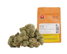 Glazed Apricot Gelato 28g Dried Flower