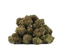 Blue Velvet 28g Dried Flower