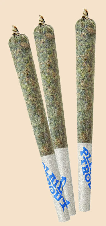Plaid Trout - PLAID TROUT - Blue Dream 10 x 0.35 Pre-Rolls Main Image