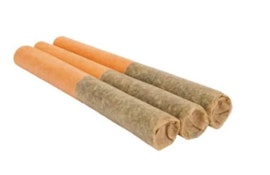 TRIALS INDICA  - 3 x 0.5g