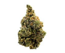 BC Weed Co. | West Coast OG LTO | 14 g