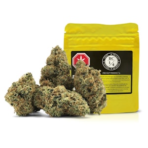 BC 1/4 - Pre-Nup Pending 7g