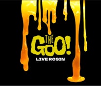 The Goo! Tangerine Punch 1g Live Rosin