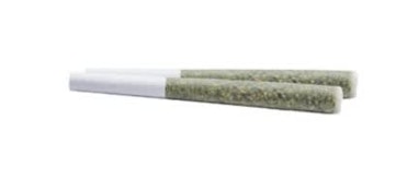 RED VELVET RUNTZ | Royal Harvest Craft Cannabis 2x1g Pre-rolls | Rest