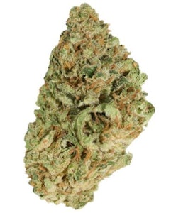 Good Supply - JEAN GUY | Good Supply 7g Flower | Elevate