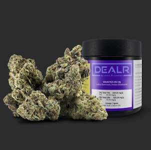 DEALR - DEALR - Galactica OG (14g)