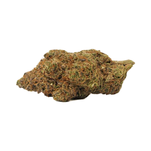 Bold Growth Inc - Bold Orange Crush Flower