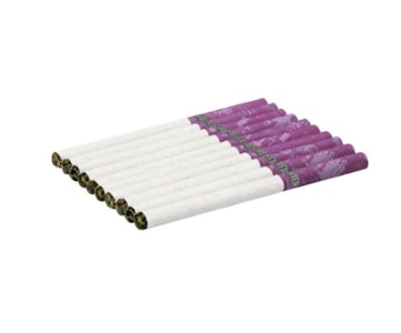 Shred - Gnarberry Dartz Pre-Rolls - 10x0.4g
