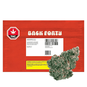 Back Forty - Liquid Imagination 14g Dried Flower