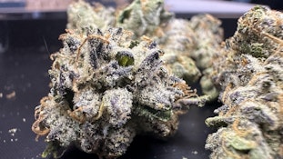 Pink Death 3.5g Dried Flower