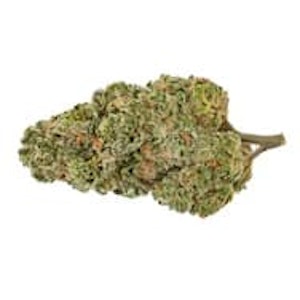 Pure Sunfarms - TRIAL NO. 009 LTO - 3.5