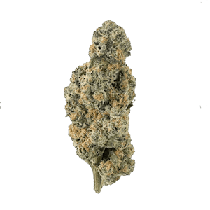 The Florist - Deep Fried Cookie Dough 7g Dried Flower