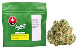 Spinach: Space Cake - 28g