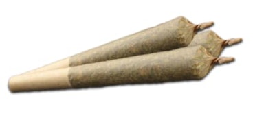 JACK HERER 0.5G 3PK PRE-ROLLS
