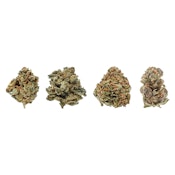 Potluck - Fruit Collection 28g (4x7g)
