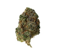 The Loud Plug - Waffle Cone (28g)