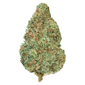 Back Forty Chemzilla 14g