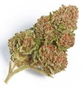 Elevator- Northern Lights - 3x0.5g