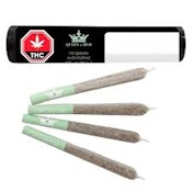 Fit Queen Pre-Workout THCV 4 x 0.5g Infused Pre-Rolls