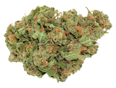 Slurricane (14g) - Freedom