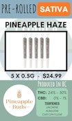 PINEAPPLE BUDS - 5PK PINEAPPLE HAZE PRS