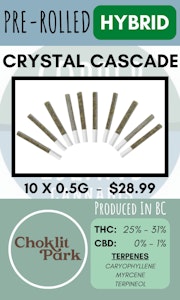 Choklit Park - CHOKLIT PARK - 10PK CRYSTAL CASCADE PRS