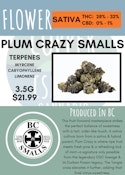 3.5G - BC SMALLS - PLUM CRAZY SMALLS