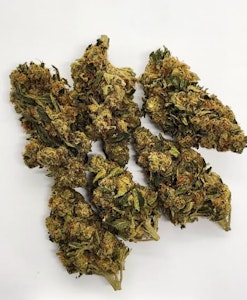 Weed Pool - Elevator - Blueberry Kush - 3.5g