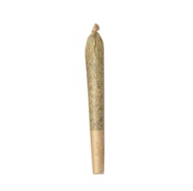 Timewarp JOINT 1g