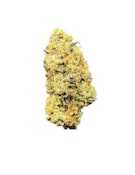 TWISTED RNTZ - 7 GRAMS